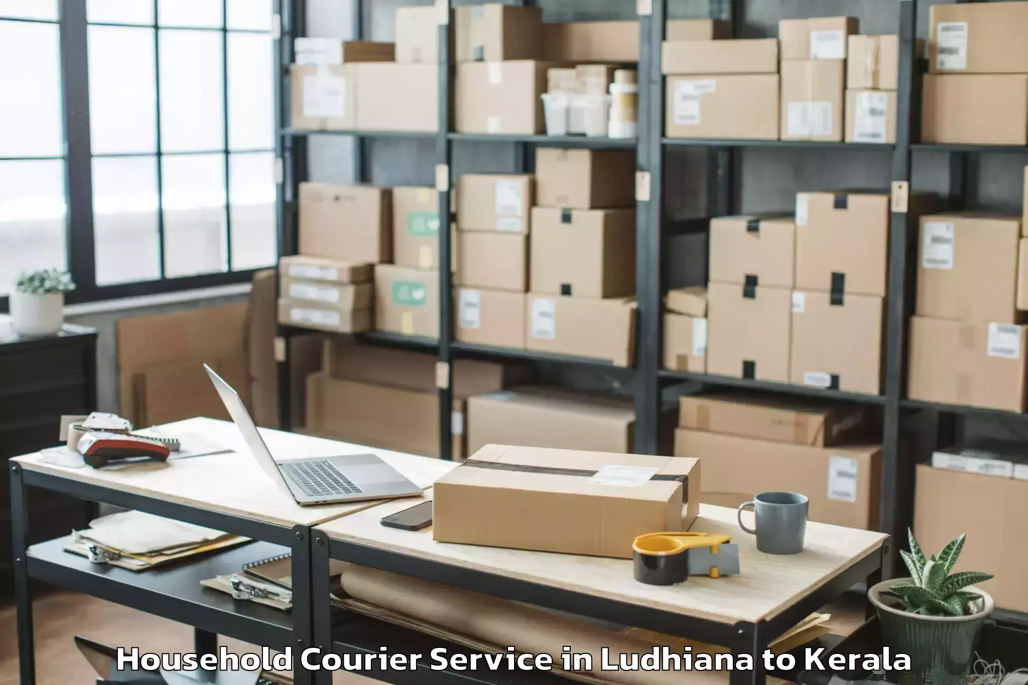 Efficient Ludhiana to Kerala Kalamandalam Cheruthuru Household Courier